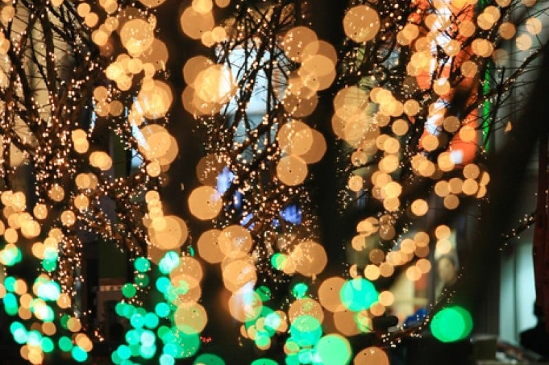 釜山クリスマスツリー文化祭り (11/19)