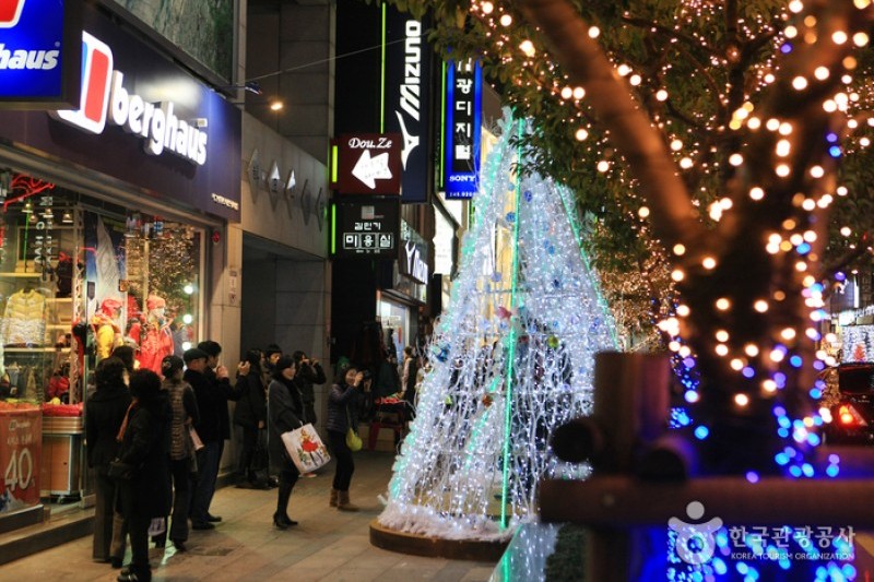 釜山クリスマスツリー文化祭り (19/19)