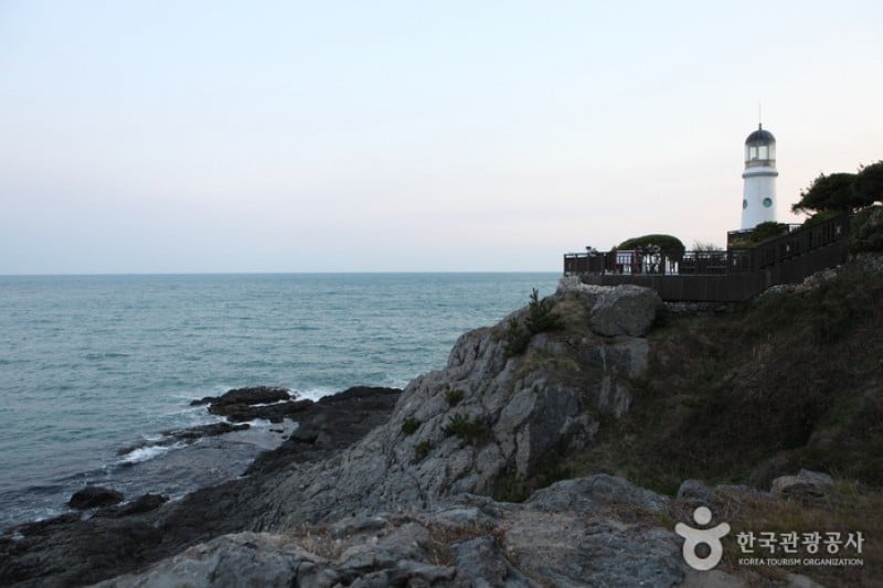 海雲台冬栢島 (1/24)
