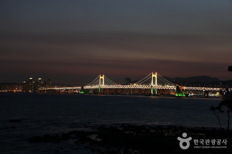 海雲台冬栢島 (3/24)