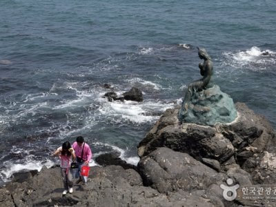 海雲台冬栢島