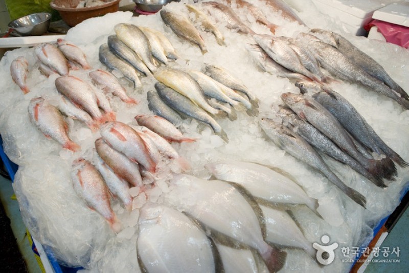 釜山チャガルチ市場活鮮魚部 (1/6)