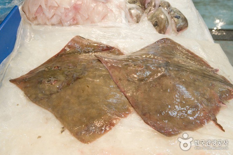 釜山チャガルチ市場活鮮魚部 (2/6)