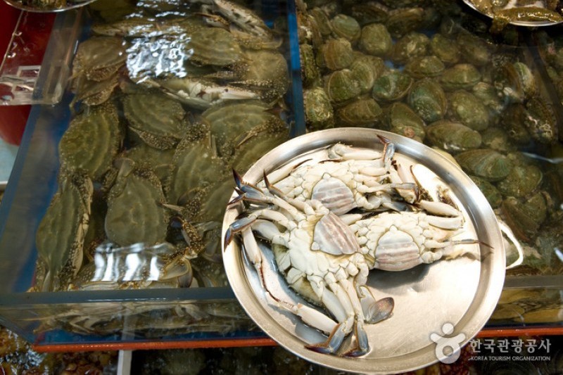 釜山チャガルチ市場活鮮魚部 (4/6)