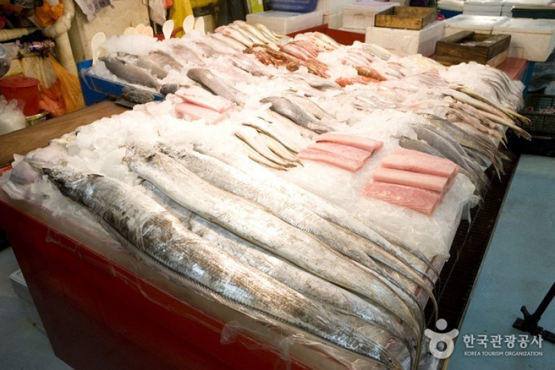 釜山チャガルチ市場活鮮魚部 (5/6)