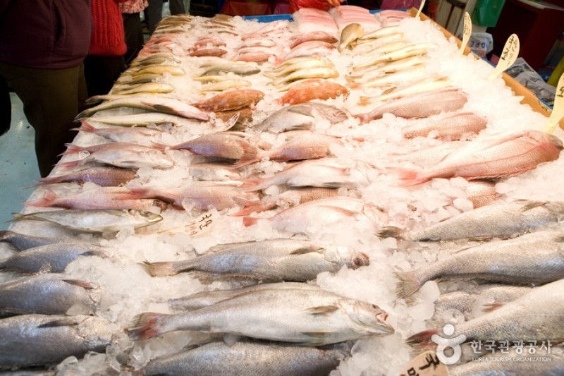 釜山チャガルチ市場活鮮魚部 (6/6)