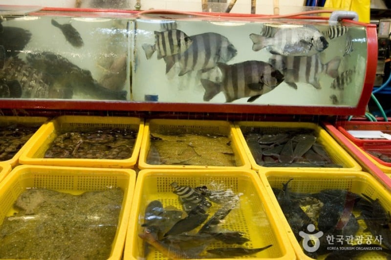 チャガルチ市場 活魚部 (1/8)