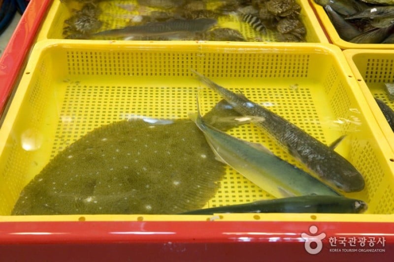チャガルチ市場 活魚部 (2/8)