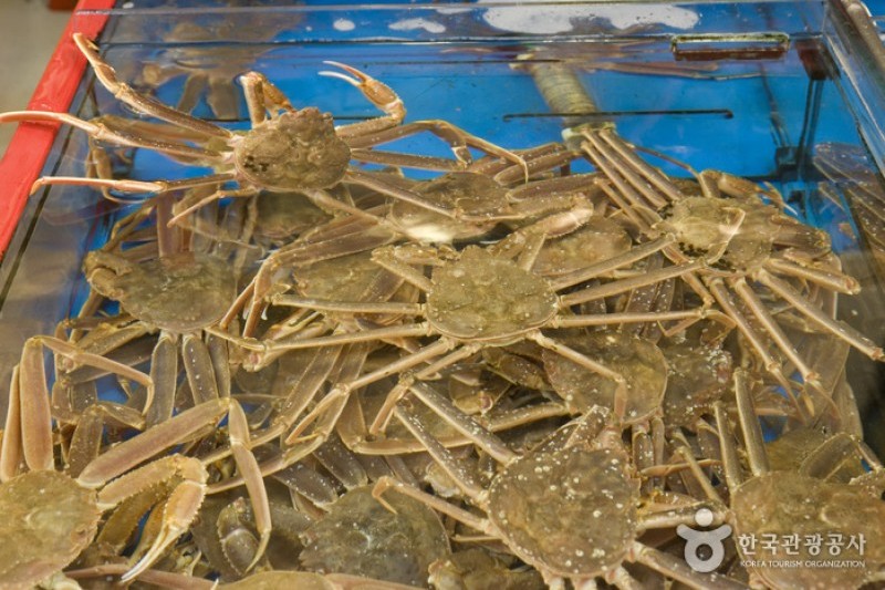チャガルチ市場 活魚部 (3/8)