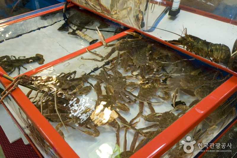 チャガルチ市場 活魚部 (5/8)