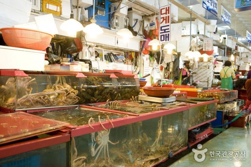 チャガルチ市場 活魚部 (8/8)