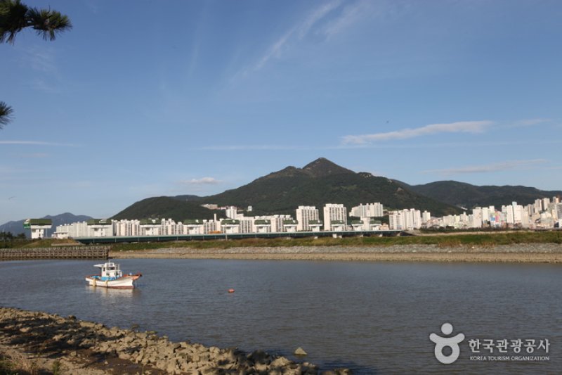 乙淑島（을숙도） (5/17)