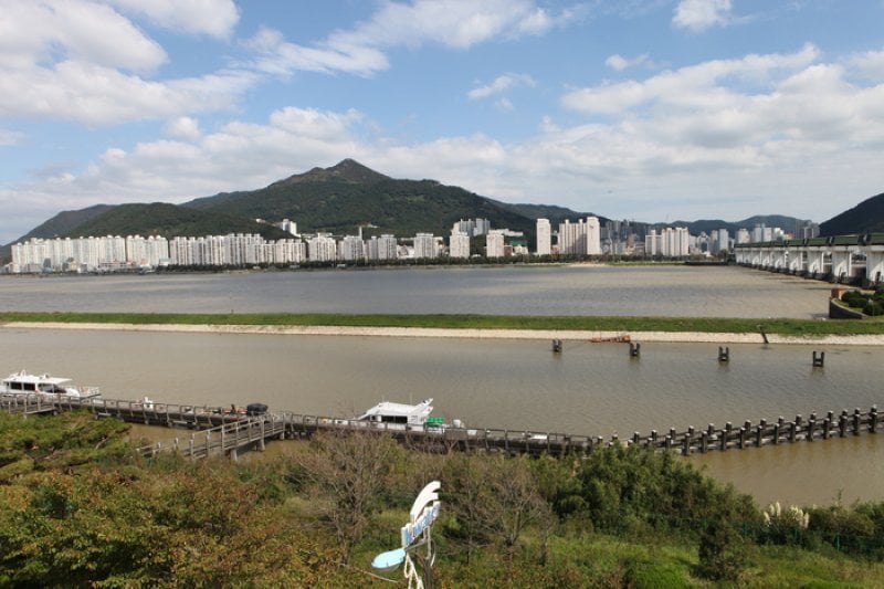 乙淑島（을숙도） (8/17)