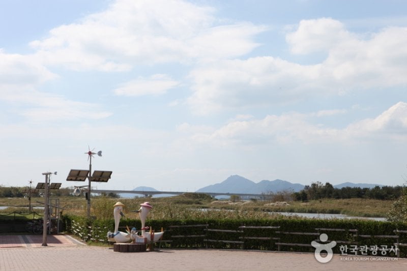 乙淑島（을숙도） (13/17)