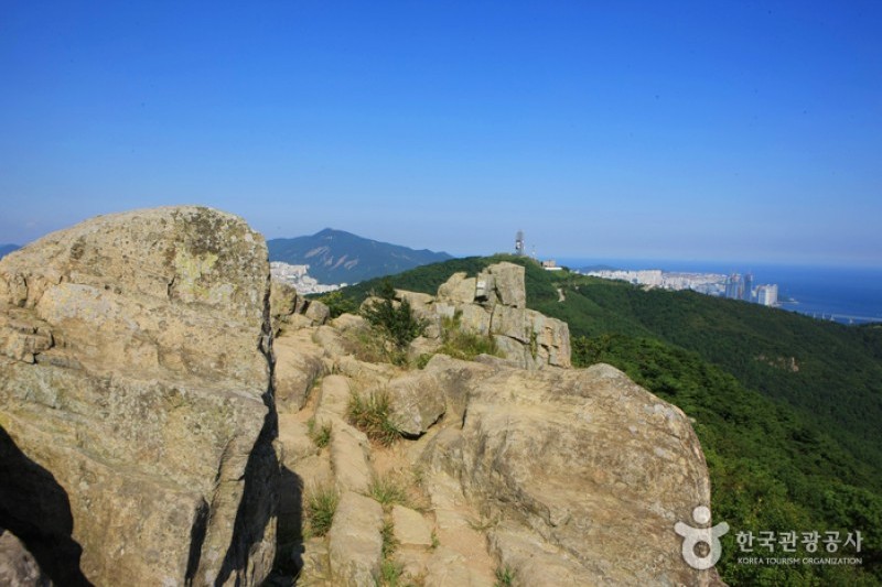 荒嶺山 (3/5)