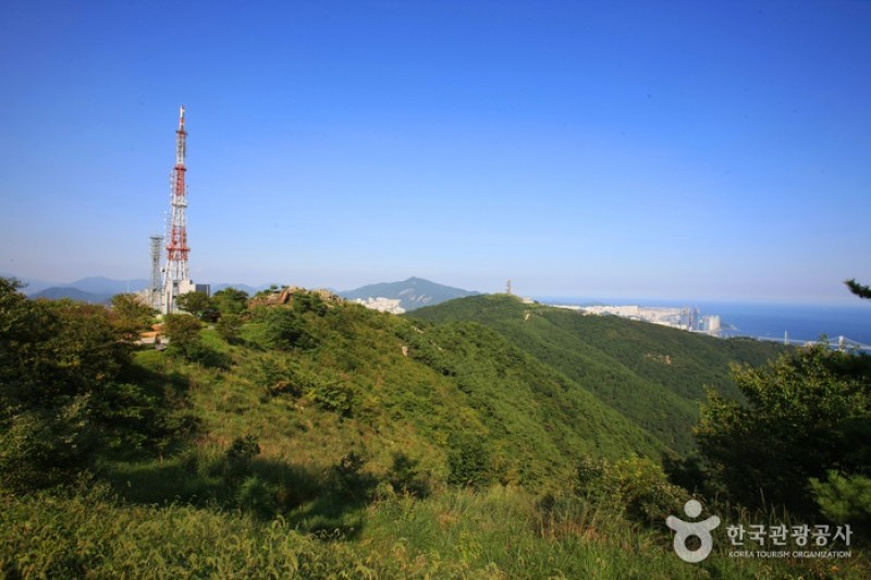 荒嶺山 (4/5)