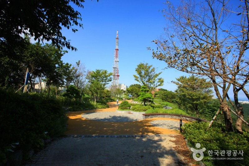 荒嶺山 (5/5)