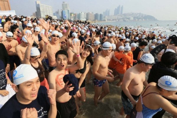 北極グマ水泳大会