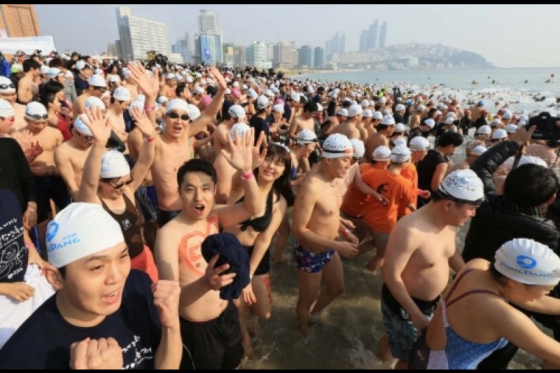 北極グマ水泳大会 (1/6)