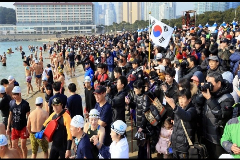 北極グマ水泳大会 (3/6)