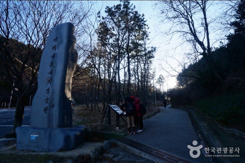 二妓台都市自然公園 (1/37)