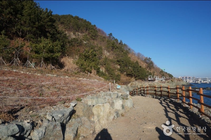 二妓台都市自然公園 (5/37)