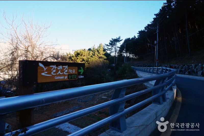 二妓台都市自然公園 (10/37)