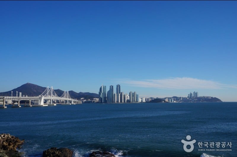 二妓台都市自然公園 (11/37)