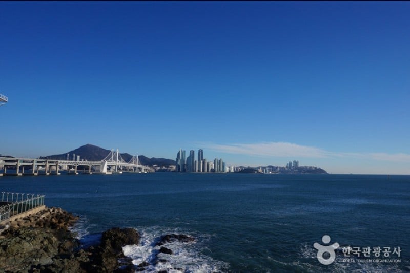 二妓台都市自然公園 (15/37)