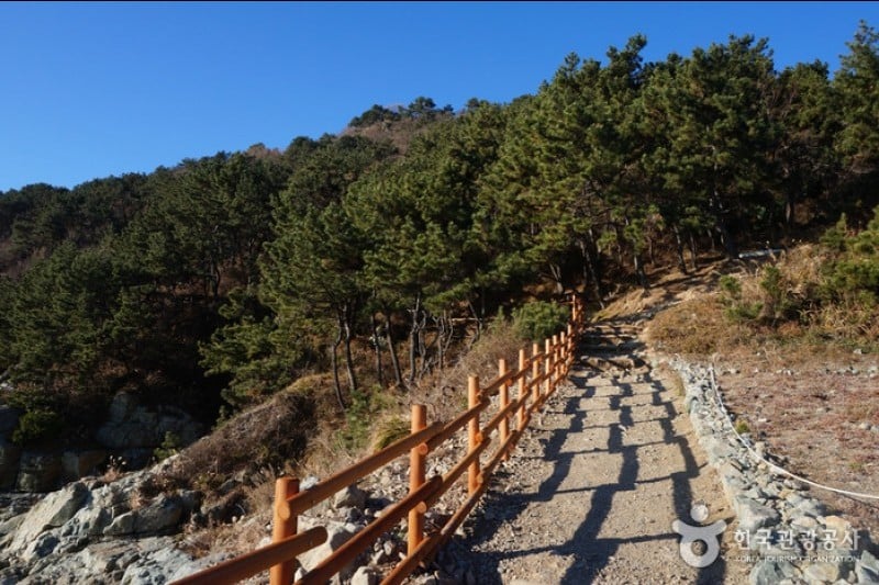 二妓台都市自然公園 (27/37)