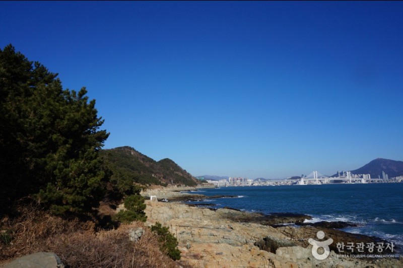 二妓台都市自然公園 (28/37)