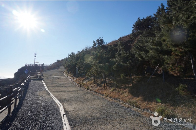 二妓台都市自然公園 (32/37)