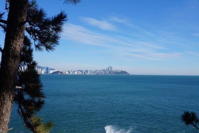 二妓台都市自然公園 (33/37)