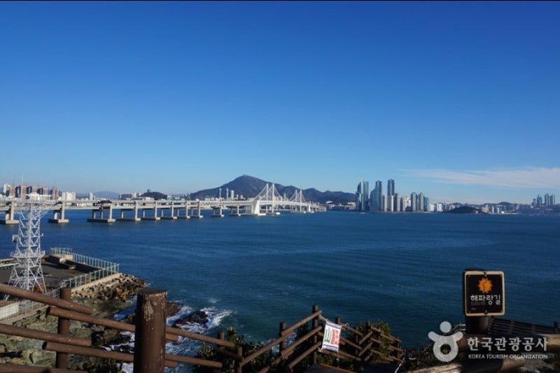 二妓台都市自然公園 (36/37)