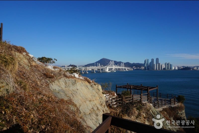 二妓台都市自然公園 (37/37)