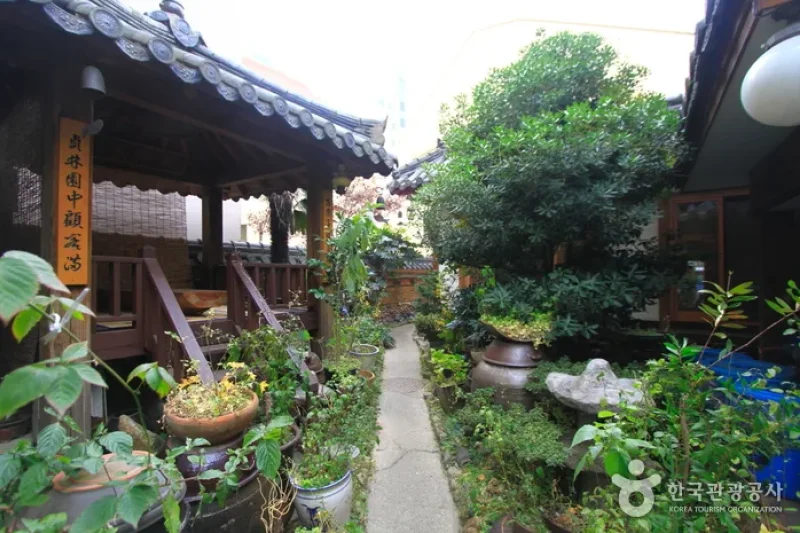 貞林韓定食（정림한정식） (5/5)