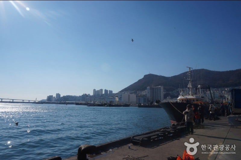 釜山 チャガルチ市場（부산 자갈치시장） (3/17)