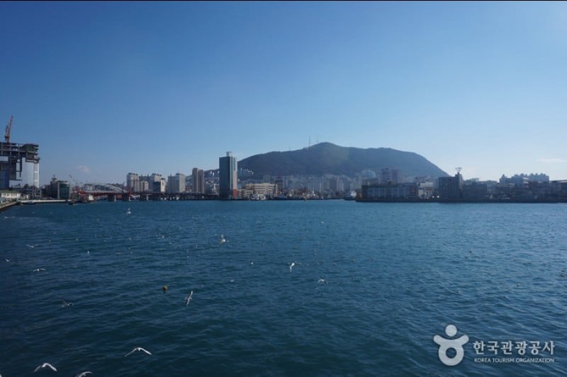 釜山 チャガルチ市場（부산 자갈치시장） (10/17)