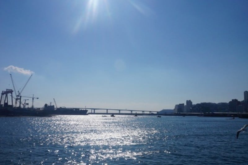 釜山 チャガルチ市場（부산 자갈치시장） (12/17)