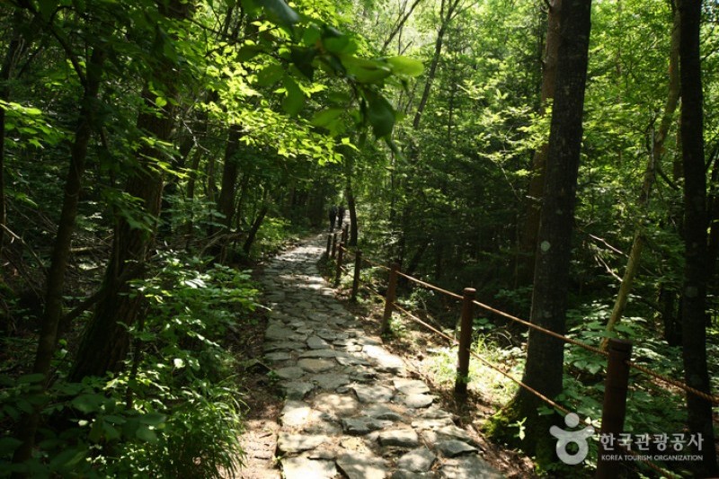 雪岳山国立公園（内雪岳） (5/6)