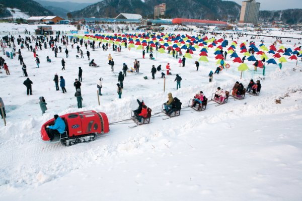 平昌マス祭り