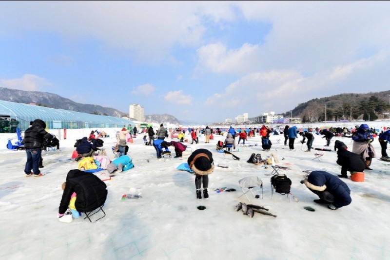 平昌マス祭り (4/6)