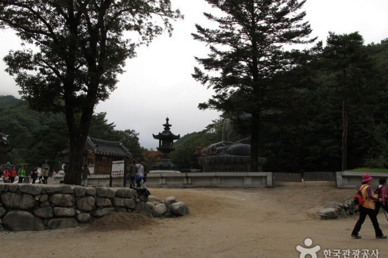 神興寺 (3/20)