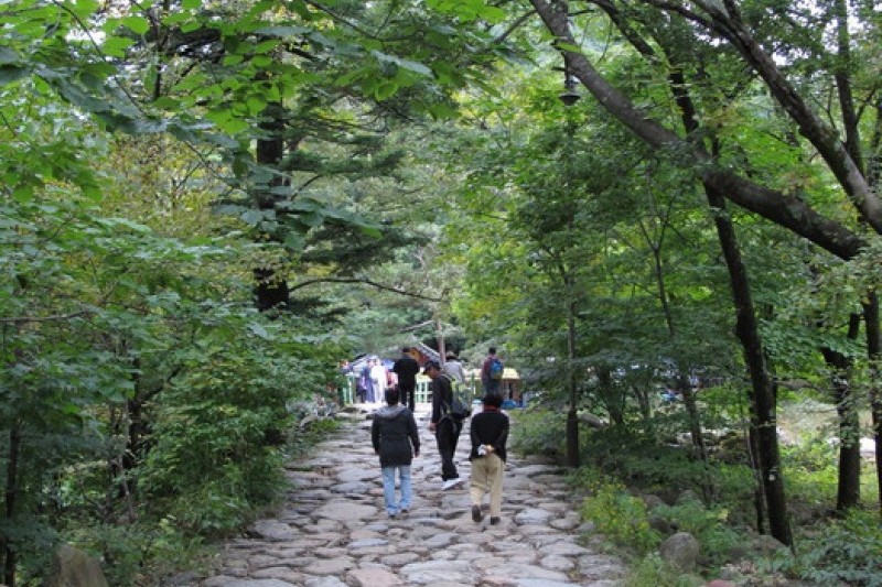 神興寺 (6/20)