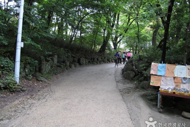 神興寺 (7/20)