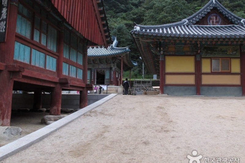 神興寺 (11/20)