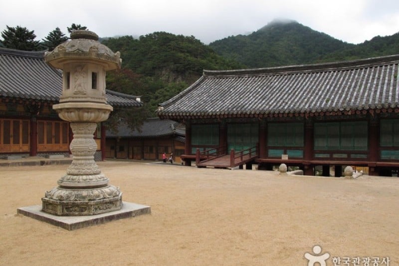 神興寺 (14/20)