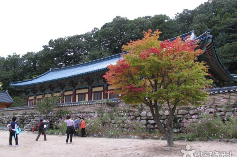 神興寺 (15/20)
