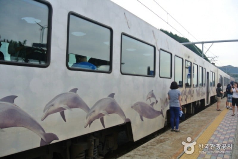 海岸列車 (1/3)
