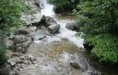 大関嶺自然休養林